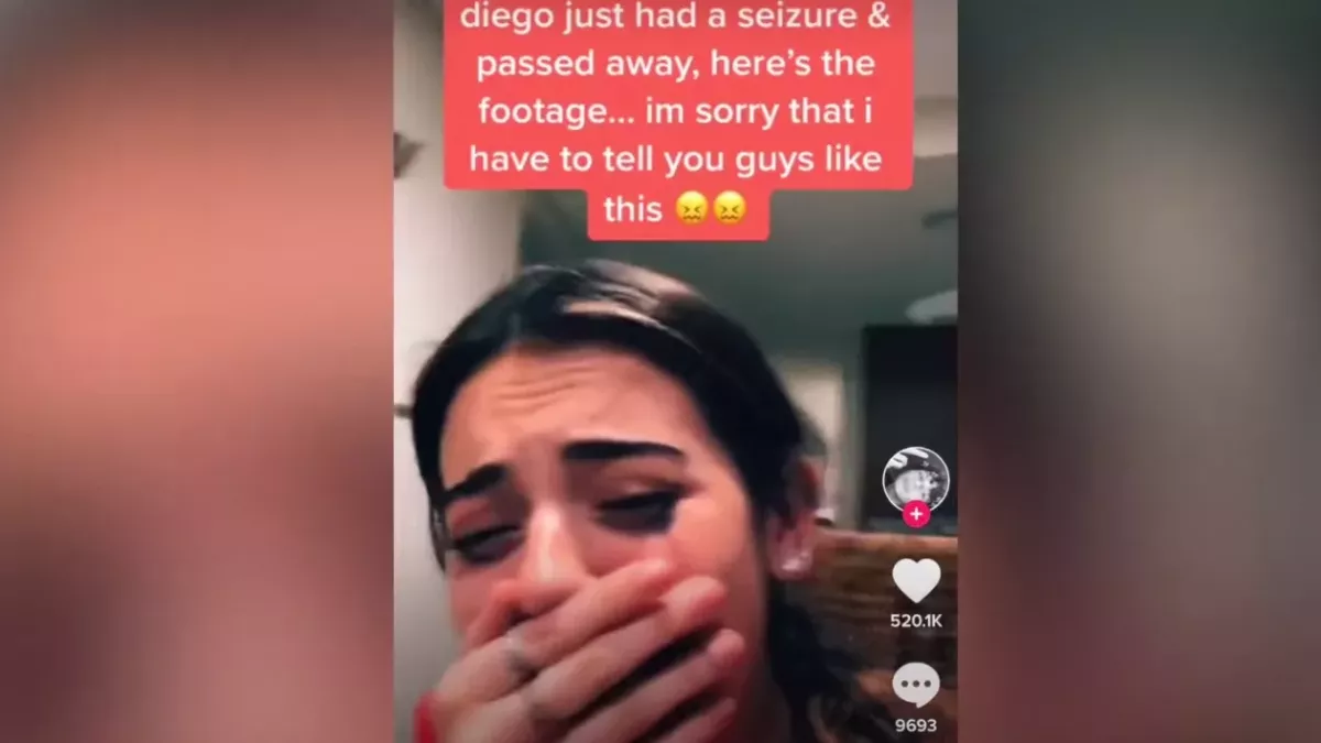 TikTok users are facing harsh criticism after this challenge.
