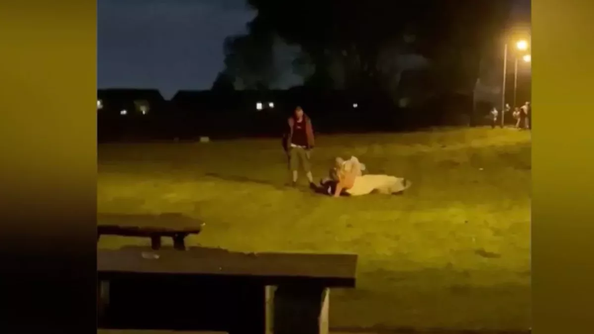 Wedding descends into complete chaos as bride brawls in field (VIDEO)