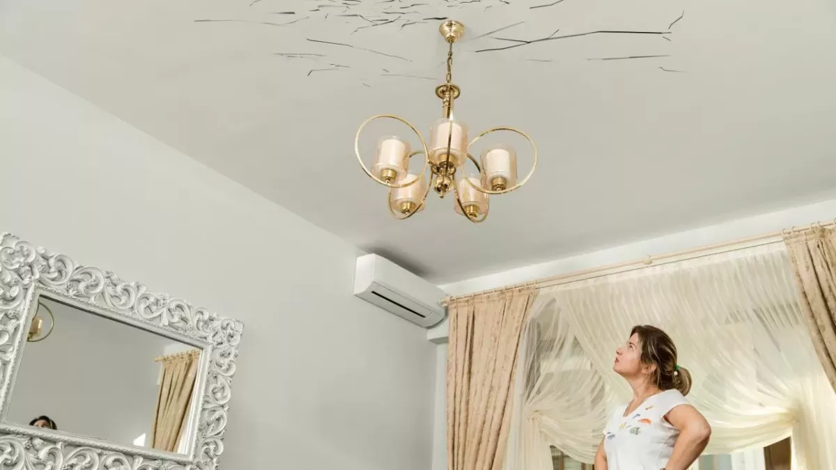 woman spotted sticks in ceiling flying termites