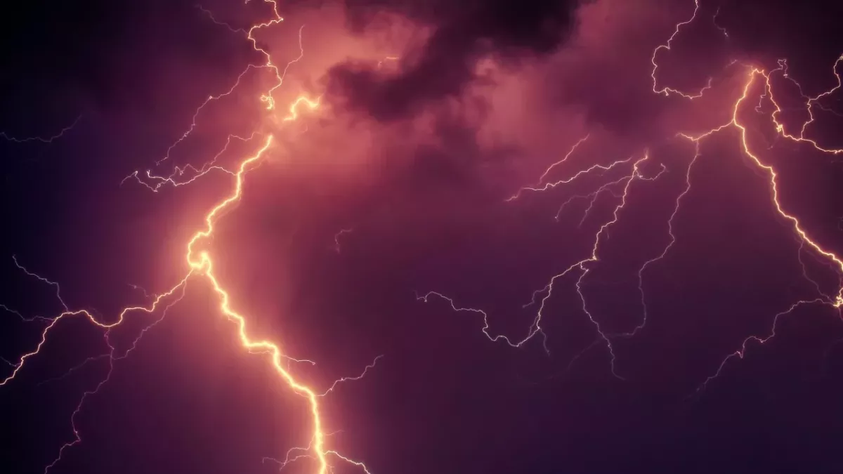 This woman was struck by lightning while walking her dog and recounts what she saw