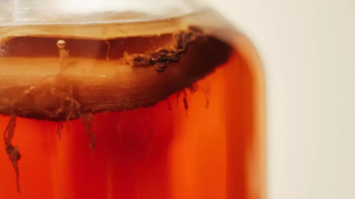 Add kombucha to your skincare routine