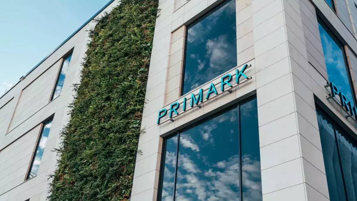 Primark Ruched Accessories 