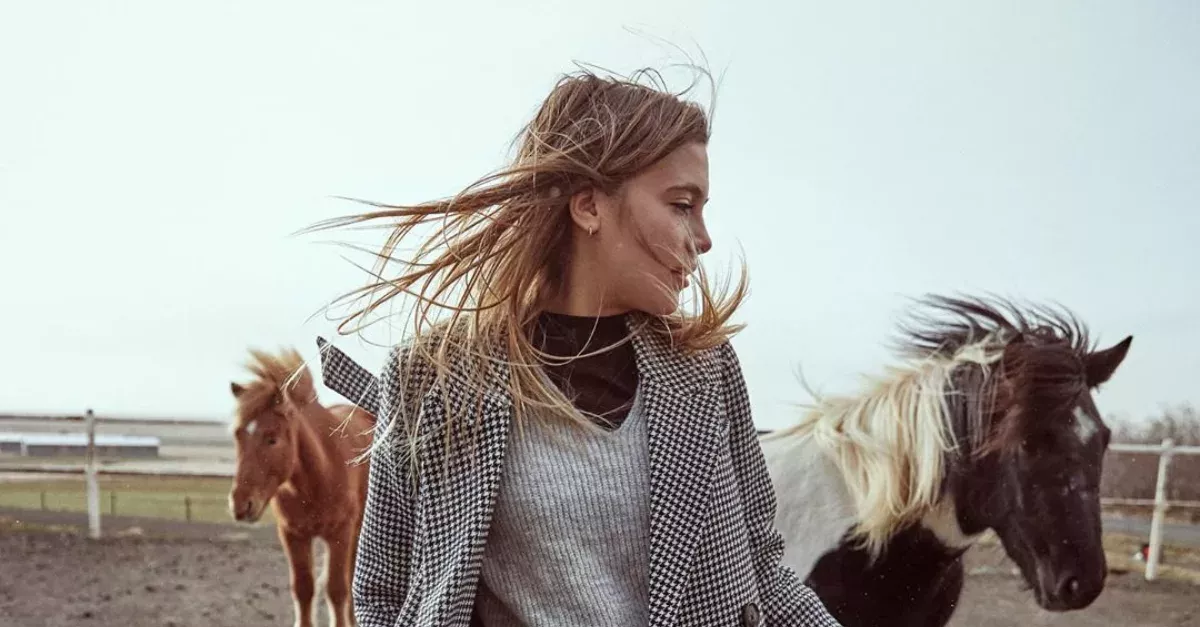 Stradivarius Is Selling A Sweater 