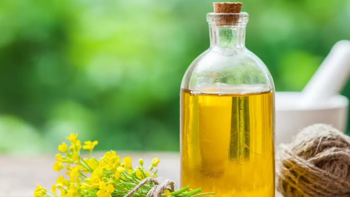 Is canola oil really bad for your health? Here's what the experts have to say