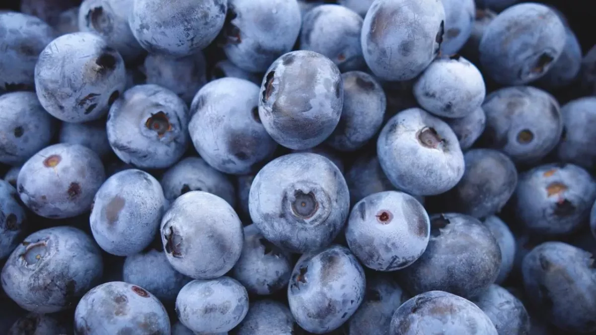This fruit may help fight cancer and help you live longer