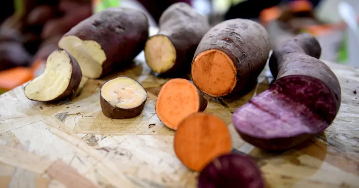 Here Are 15 Ways To Cook Sweet Potatoes