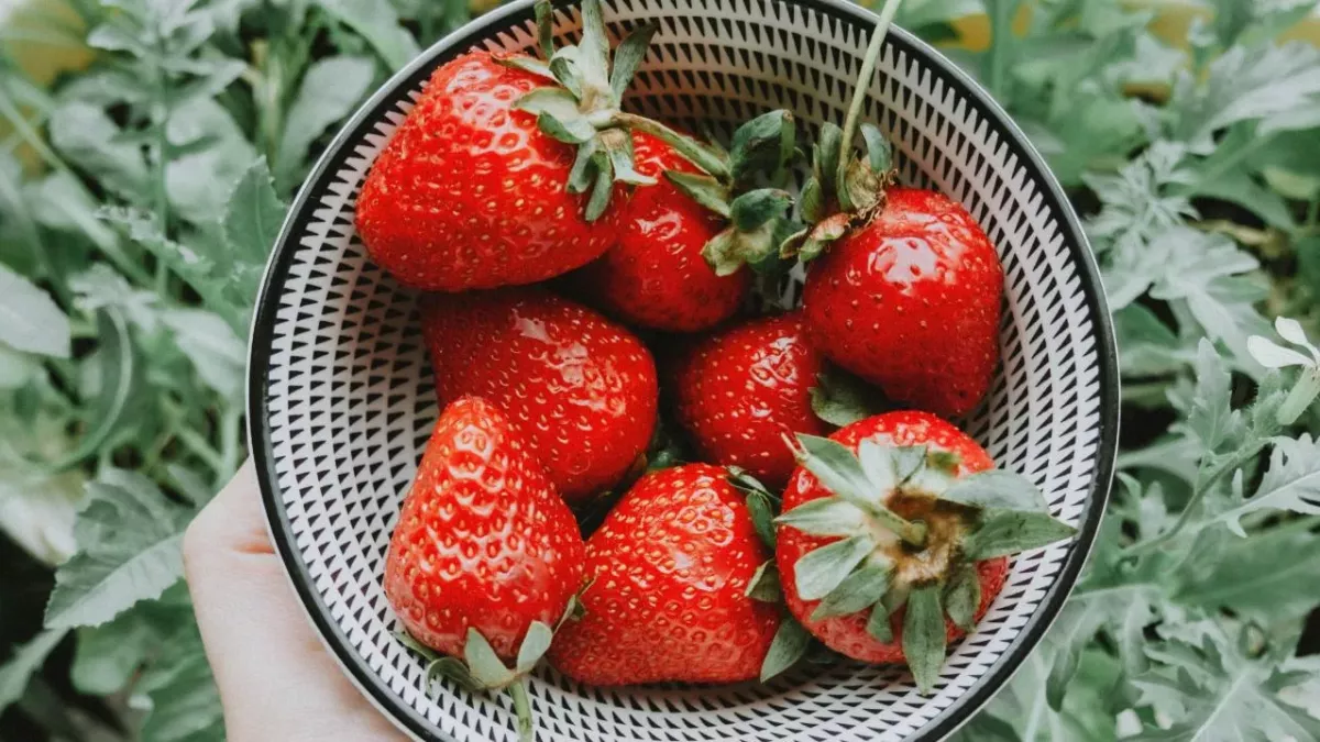 Here's why you should put balsamic vinegar in your strawberries
