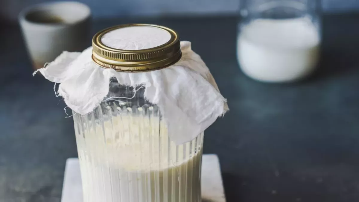 Milk kefir