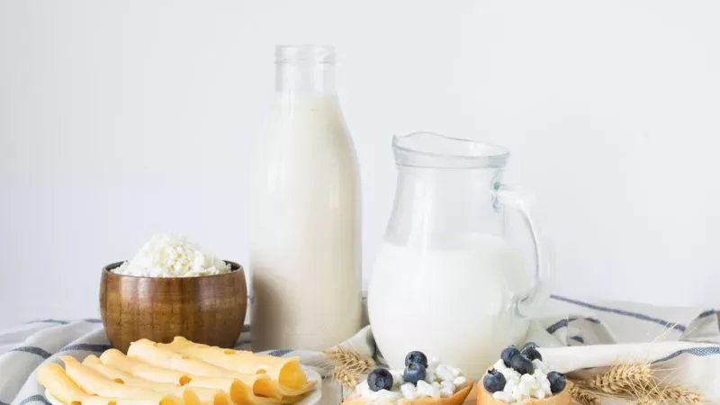 Milk, Yoghurt, Cheese: How Long Can They Be Kept And Consumed?