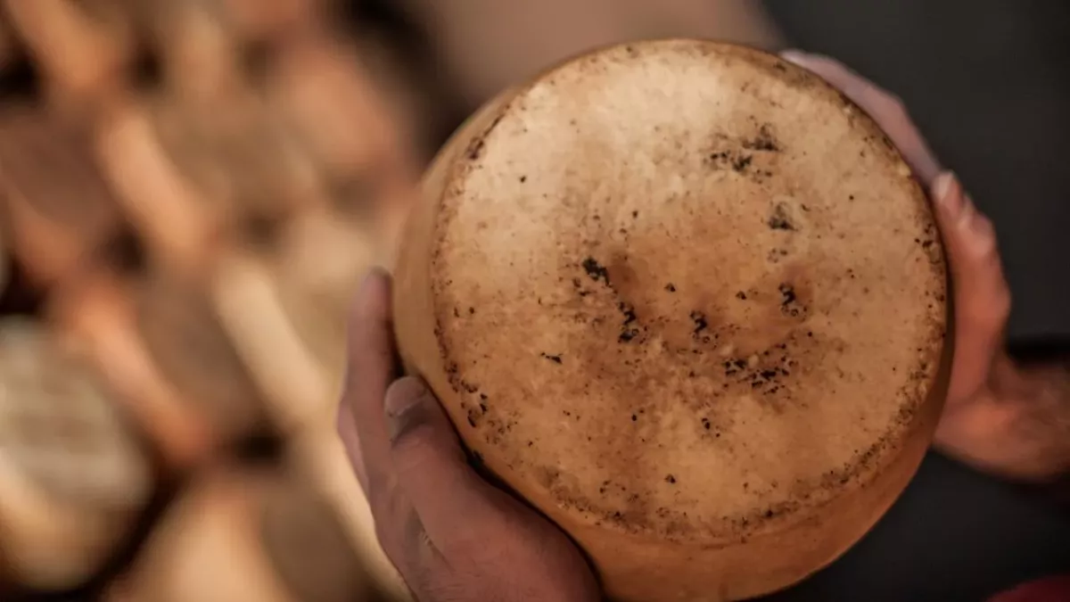 The ‘most dangerous’ cheese in the world is not for the squeamish