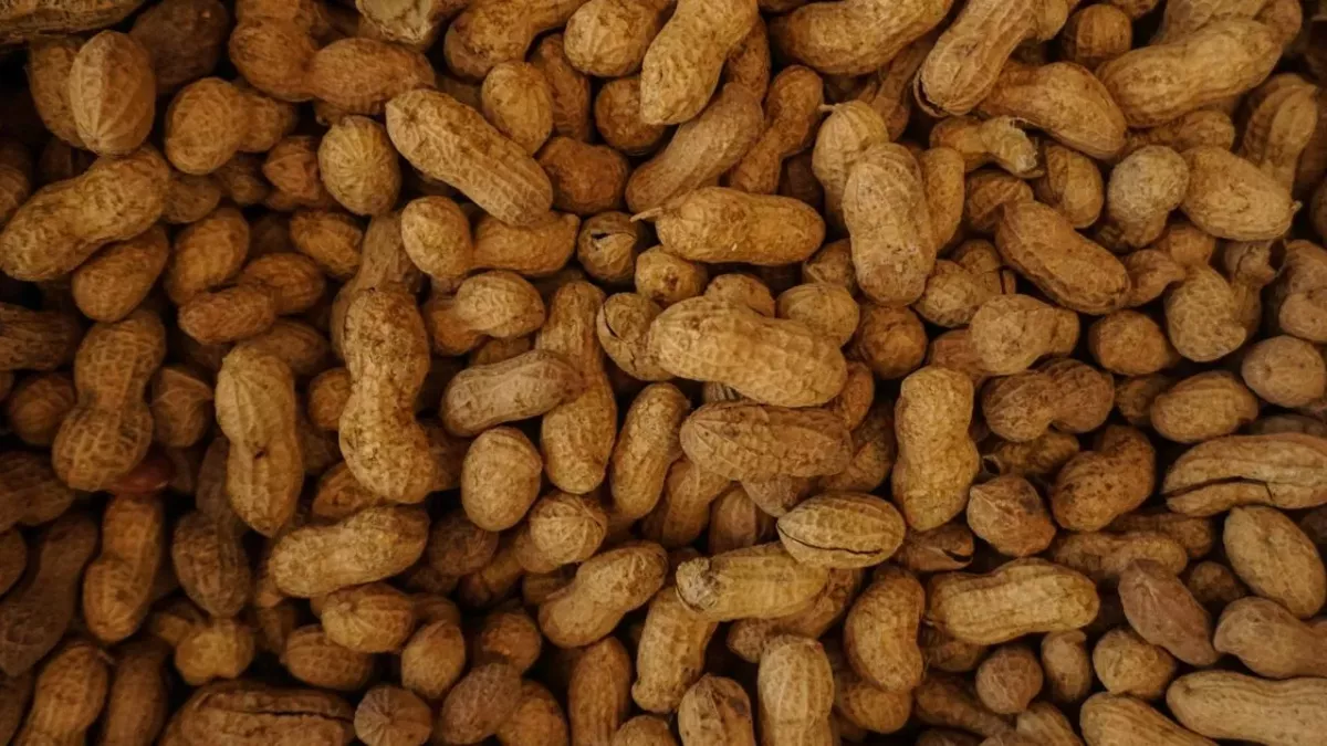 Nut allergy sufferers warned to return these products
