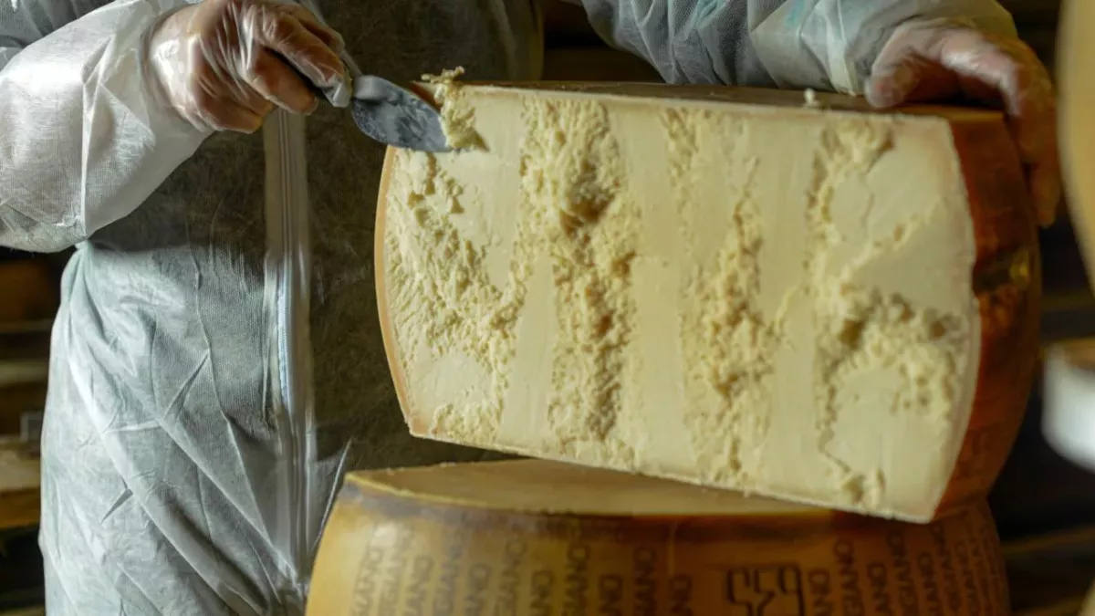 People horrified after learning where Parmesan cheese actually comes from