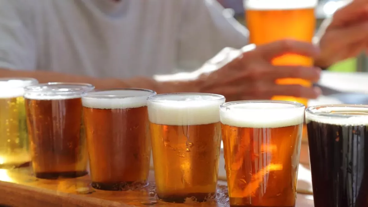 People left disgusted after realising that some beers contain fish guts