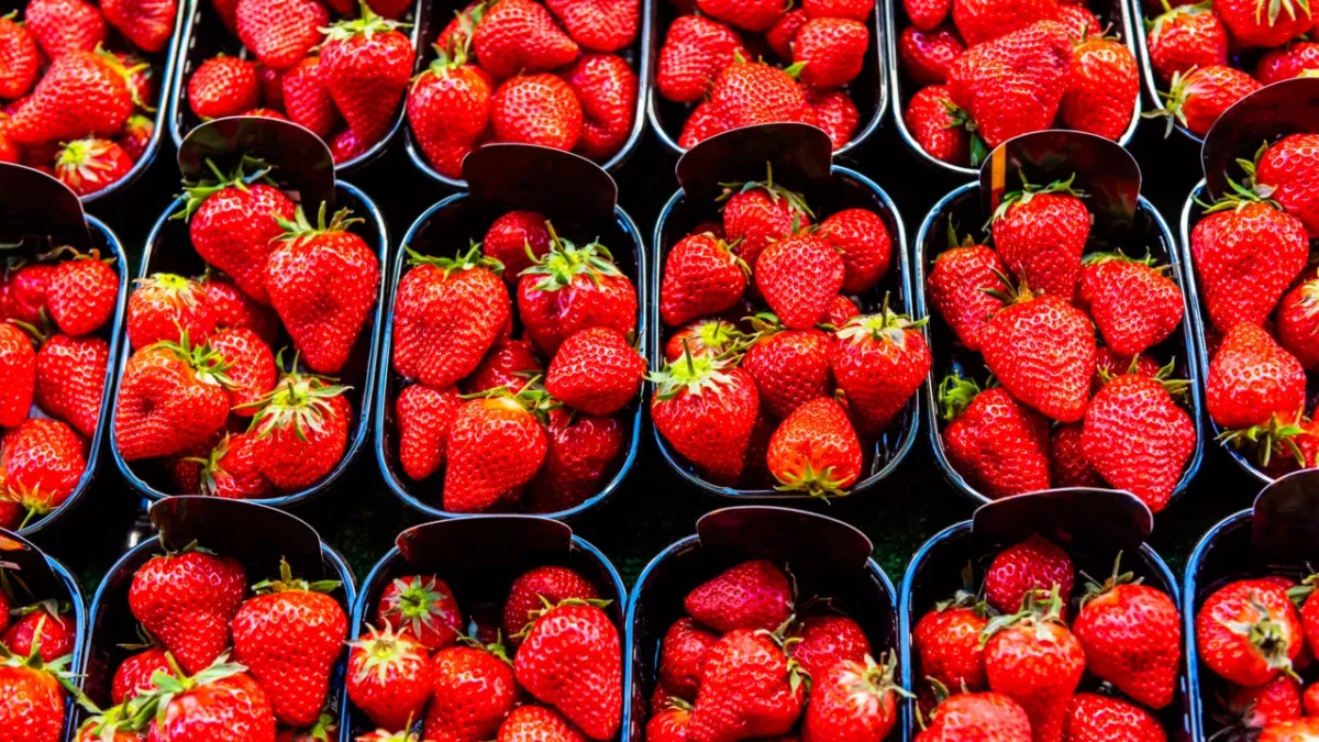 This Video of Insects Living in Strawberries Has Been Traumatising the Internet