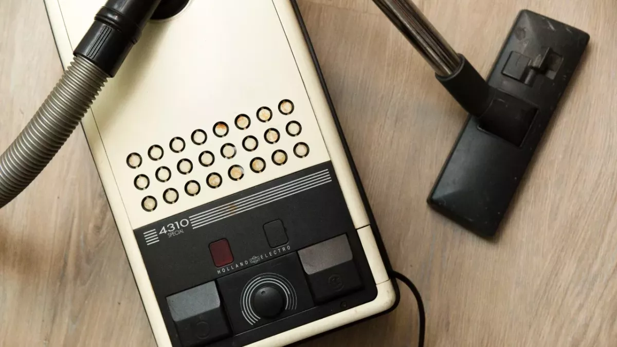 Here is why you should never kill a spider with a vacuum cleaner