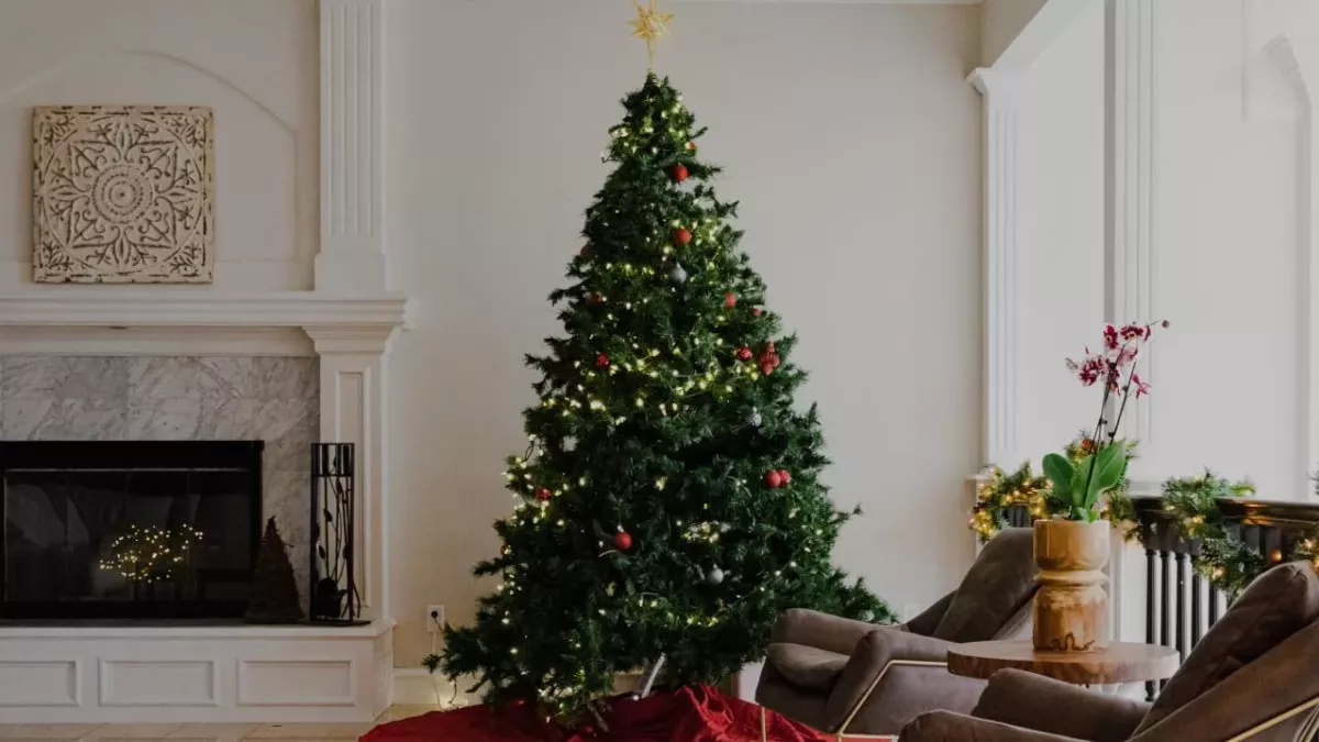 If you have a real Christmas tree, beware of this ‘clump’ that must be removed immediately