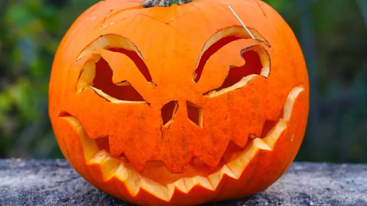 Never throw out Halloween pumpkin