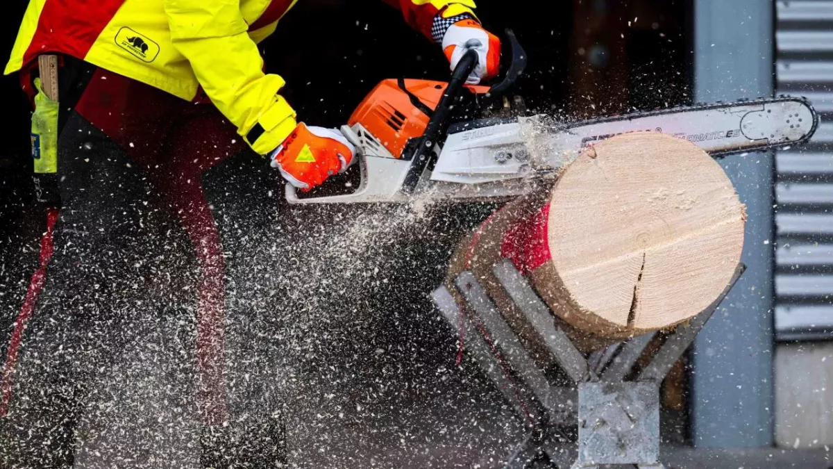 People horrified to learn what chainsaws were actually invented for 