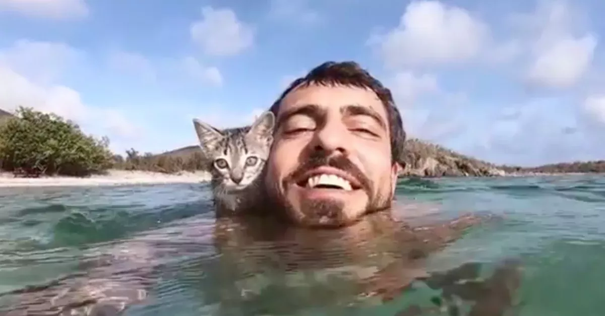 Adorable Cat Takes A Swim With His Owner