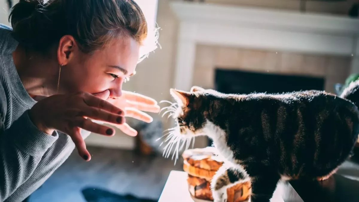 Cat and owner