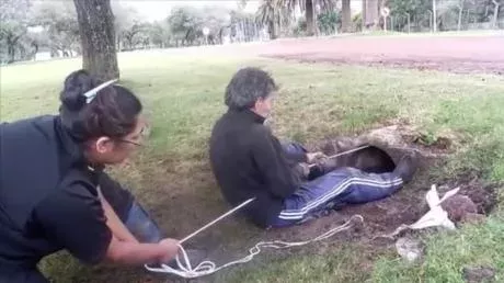 In China, a woman rescued two puppies and returned them to their panicked mother.