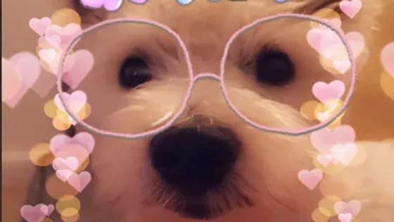 Default image
