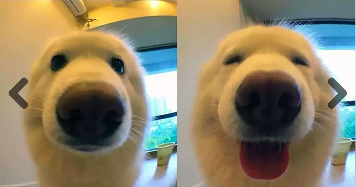 Default image