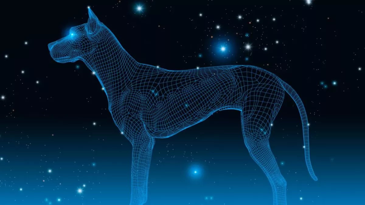 Dog Astrology: This is what your dog's zodiac sign tells about their personality