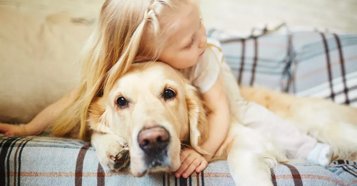 Dog Friendship