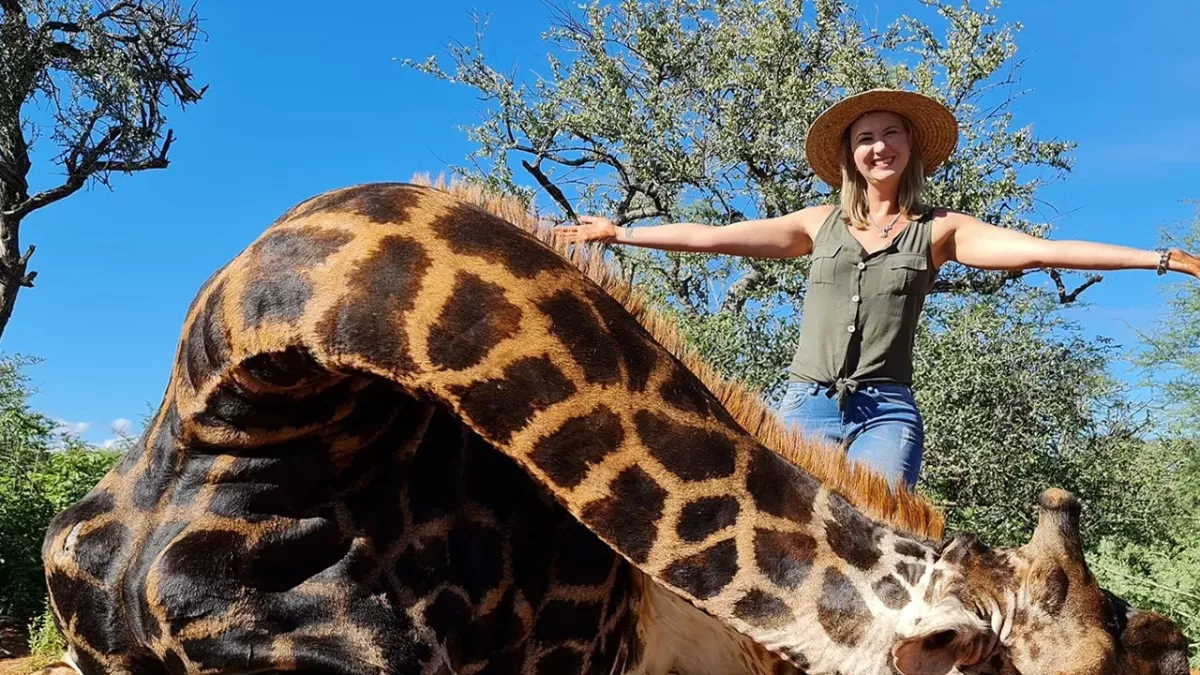 Giraffe and Poacher