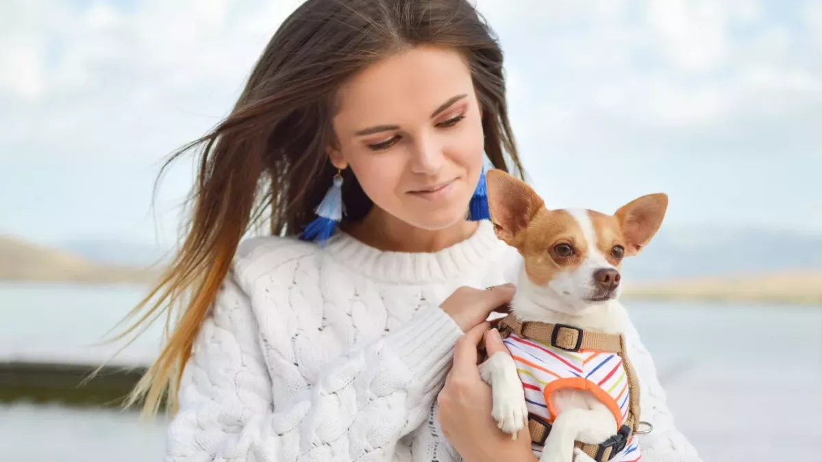 The heartbroken family’s relief as their stolen dog is found a year later