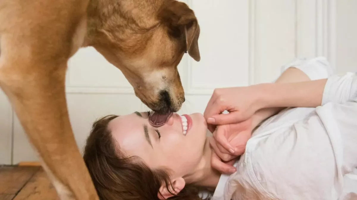 Kissing your dog could put you at risk of becoming seriously ill 