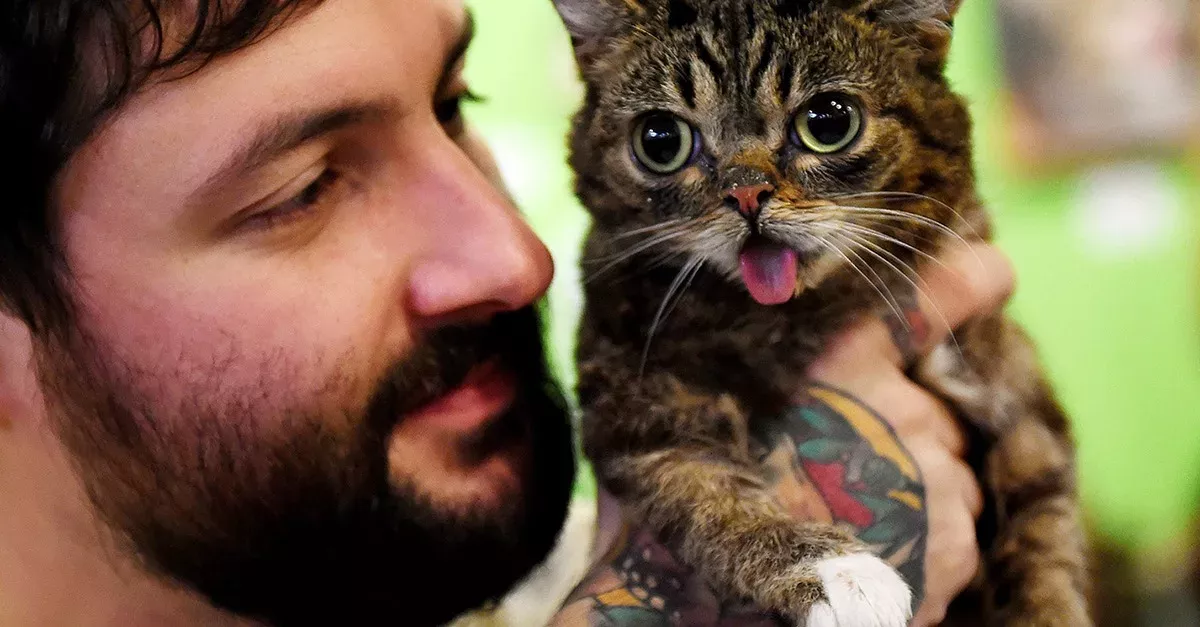 Lil Bub