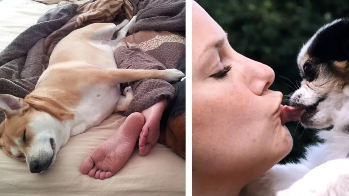 Of Pets and People