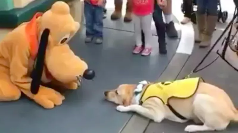 Pluto