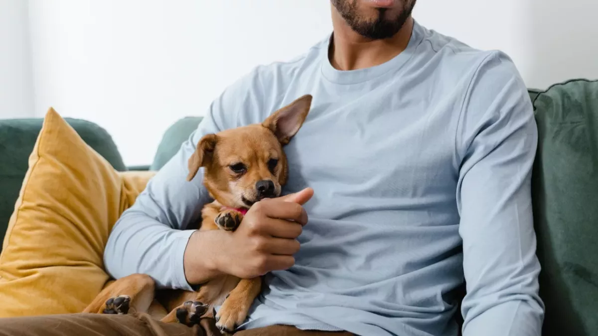 This rescue dog gives a heartbroken husband courage to carry on 