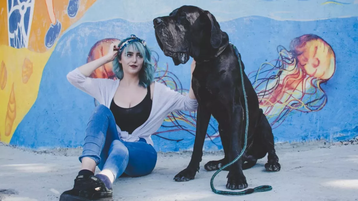 Rescue’s heartbreak as massive 60kg dog spends years at the shelter