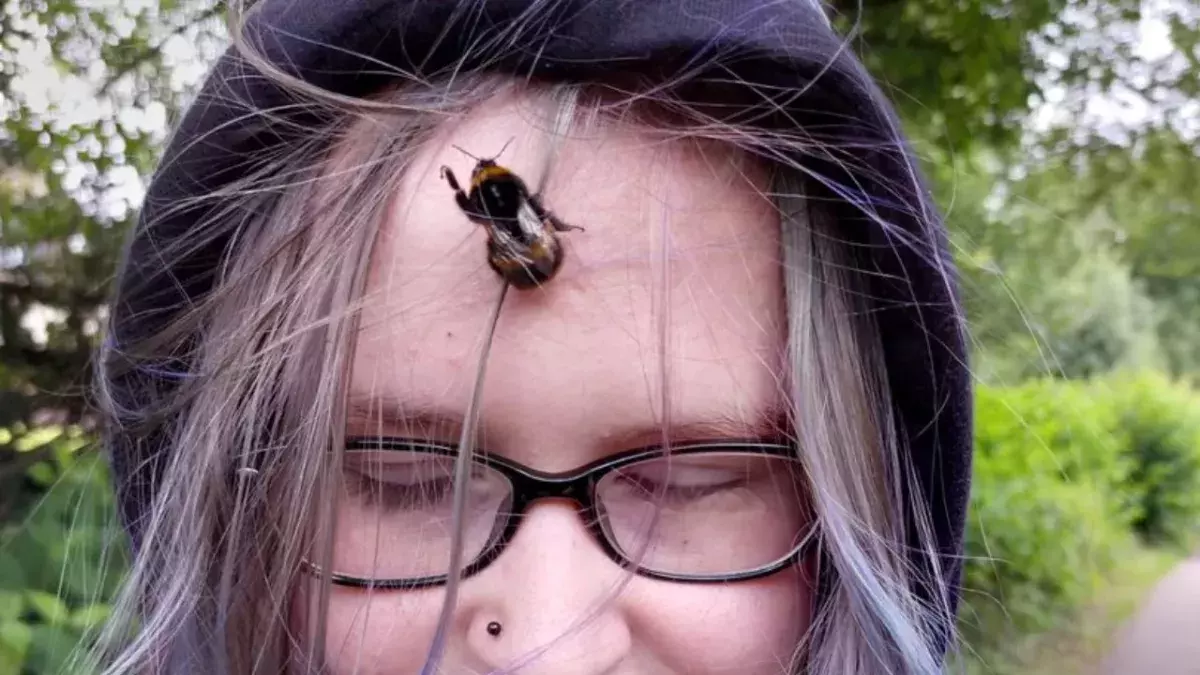 Teenager keeps bee as pet after it followed her home