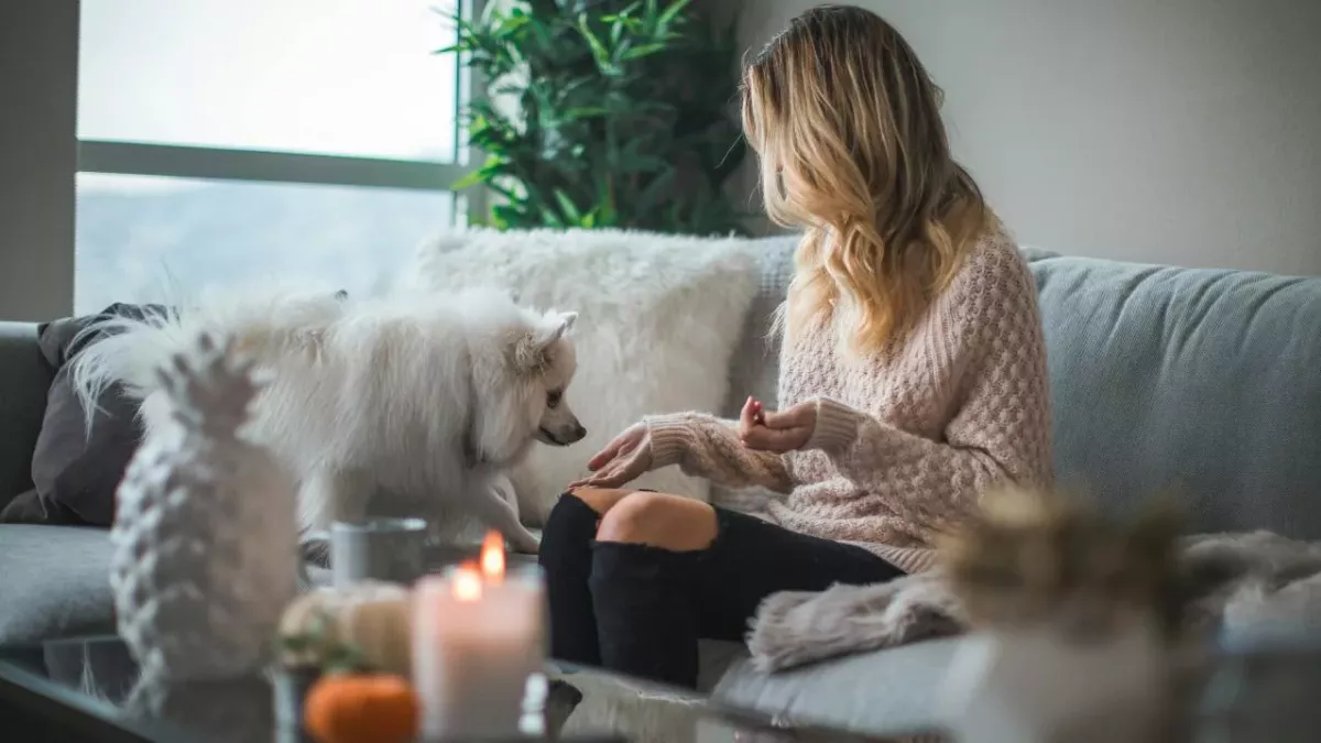 Thanksgiving foods dangerous to pets