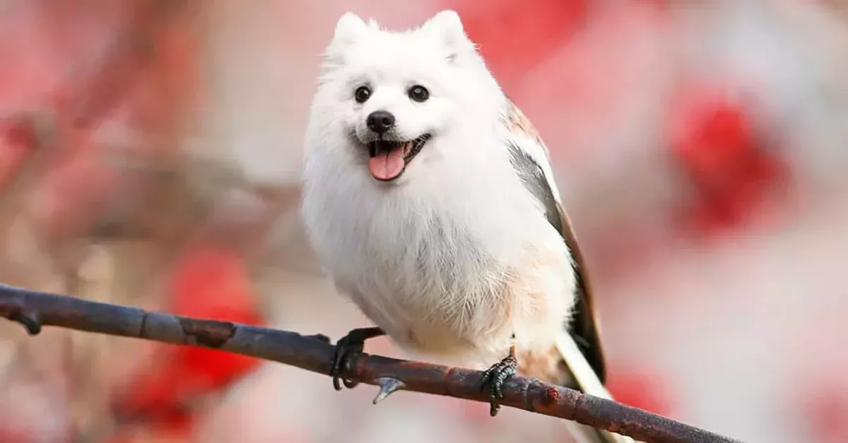 These Hybrids Of Very Different Animals Are Real Works Of Art