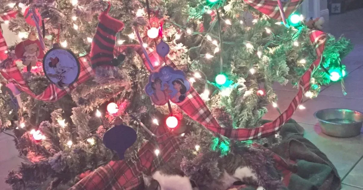 Tree