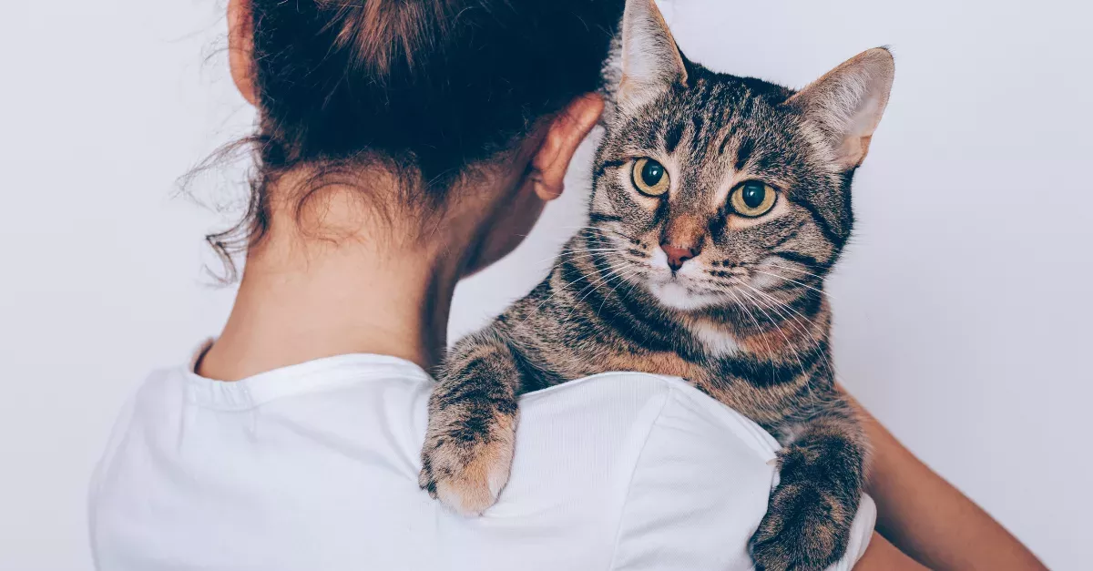 Two-thirds of people would rather spend time with their cat than their friends