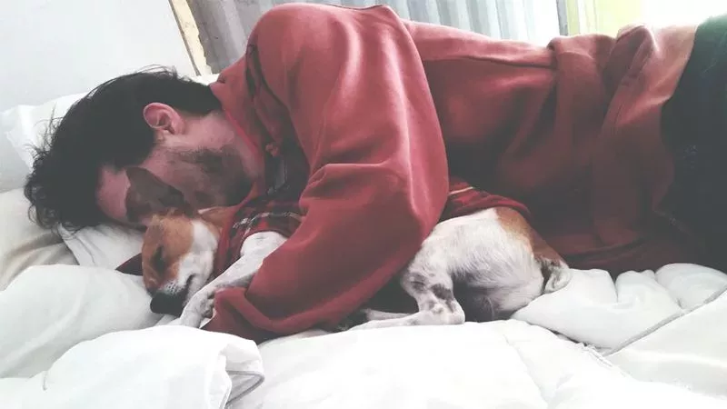 What You Need To Bear In Mind If You Let Your Pet Sleep In Your Bed At Night