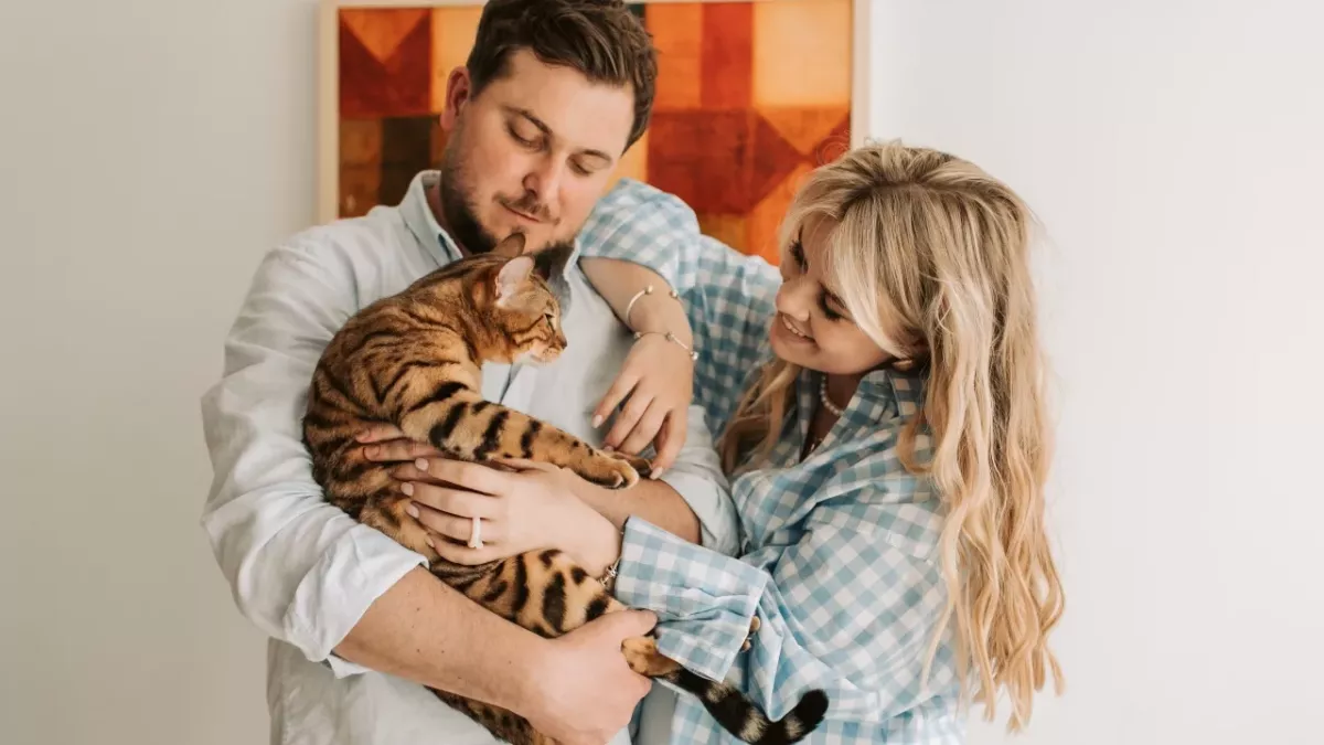 This is where your cat actually wants to be petted