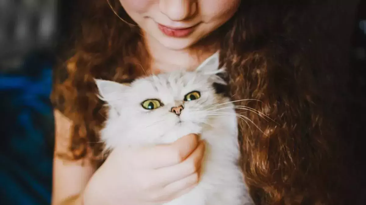 Woman reunited with her cat after 17 years because of microchipping