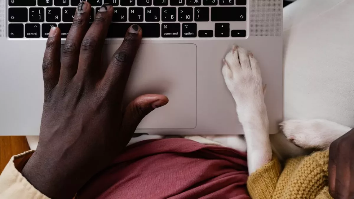 Is your dog right- or left-pawed?