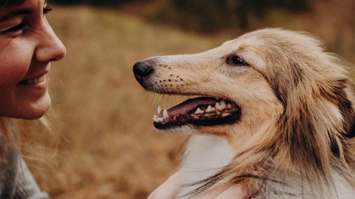 Is your dog’s breath stinky? This is what you can do about it