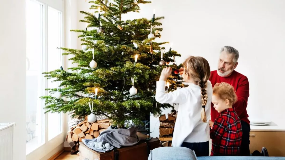 This is the right time to put up your Christmas tree, as per experts
