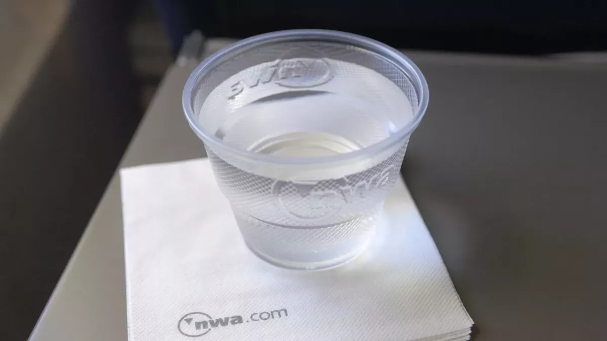 Shocking reason why you should never drink water on the airplane revealed by travel expert 