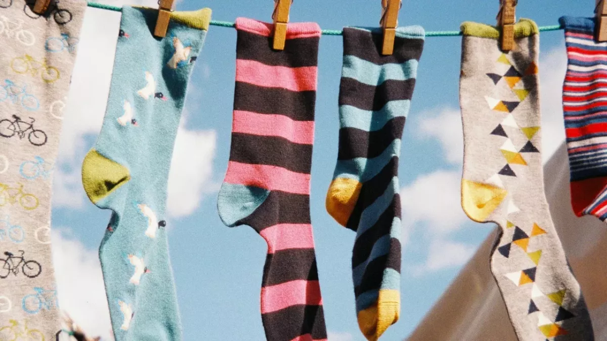 This is where all your odd socks disappear to in the washing machine